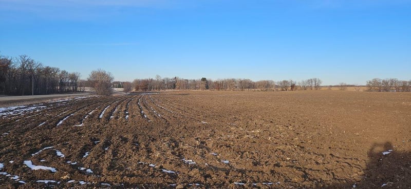 Parcel 5 Willow Rd NE, Carlos, MN 56319