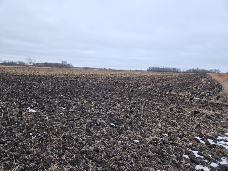 Parcel 5 Willow Rd NE, Carlos, MN 56319