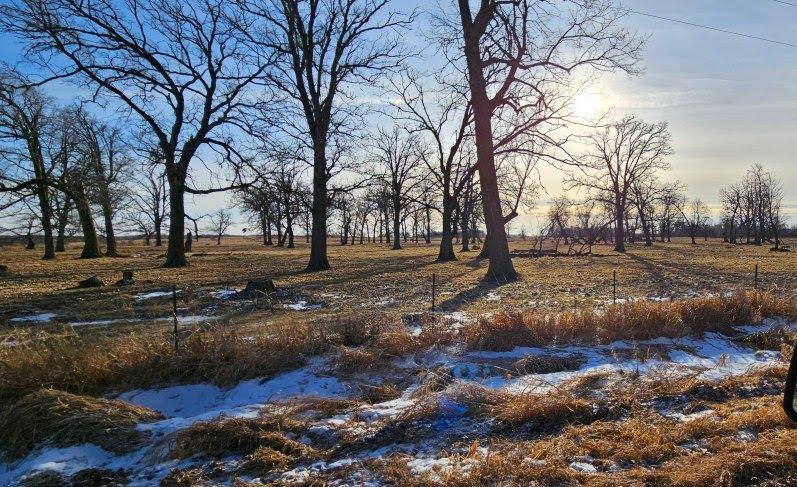 Parcel 5 Willow Rd NE, Carlos, MN 56319