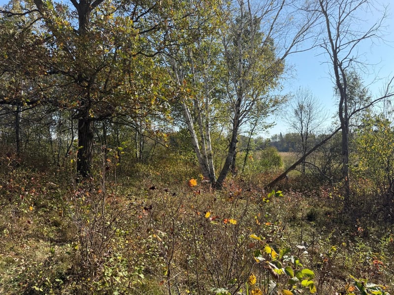 TBD 139 56ac 360th Ave, Frazee, MN 56544