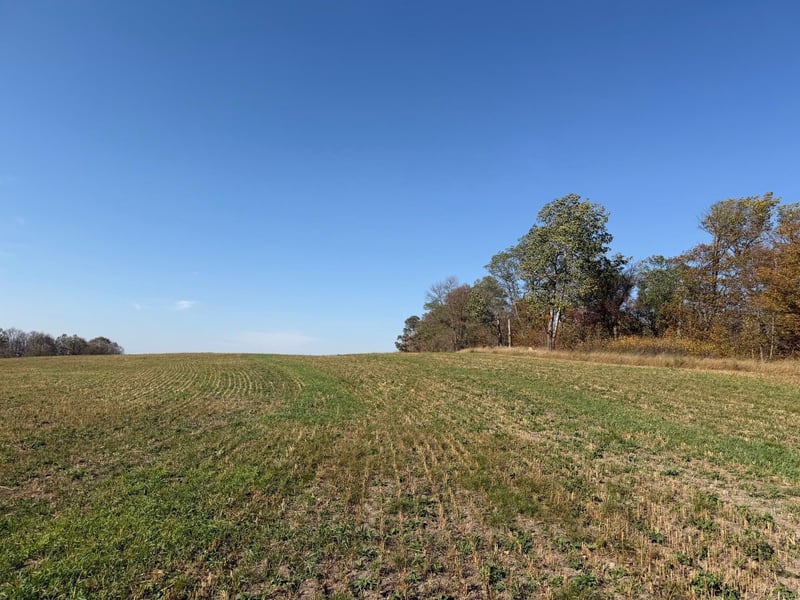 TBD 139 56ac 360th Ave, Frazee, MN 56544