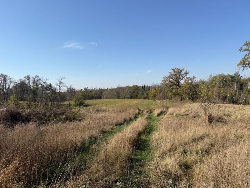 TBD 139 56ac 360th Ave, Frazee, MN 56544