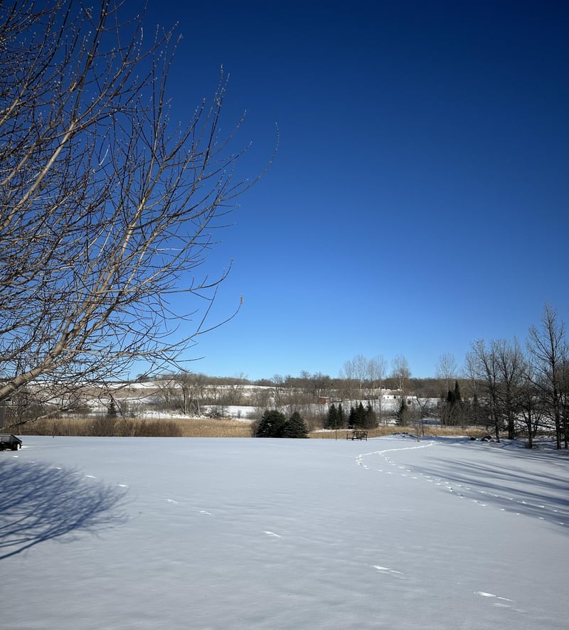 32532 Sawmill Rd, Erhard, MN 56534