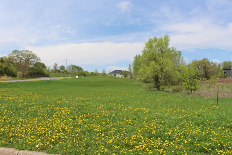 1780 River Shore Dr, Hastings, MN 55033