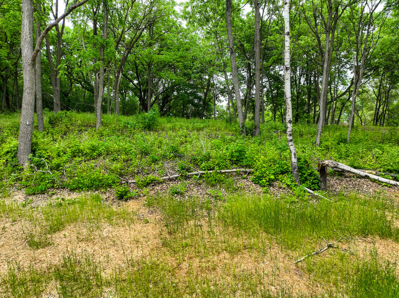 2685 Woodcliffe Trl, Hastings, MN 55033
