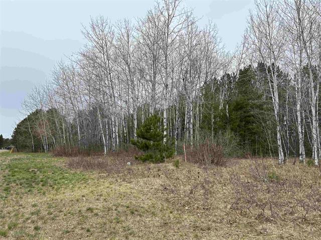 Lot 3 North Shore Dr, Iron River, WI 54847