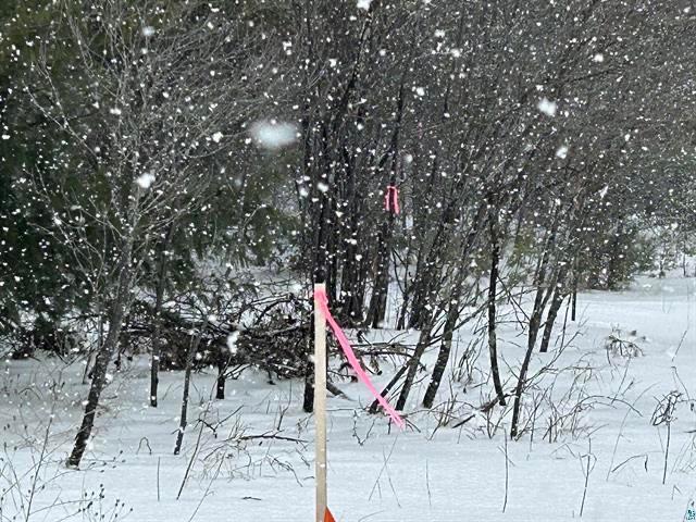 Lot 3 North Shore Dr, Iron River, WI 54847