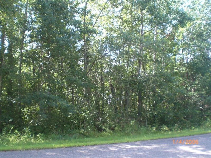 Lot 12 Fallen Leaf Cir, Breezy Point, MN 56472
