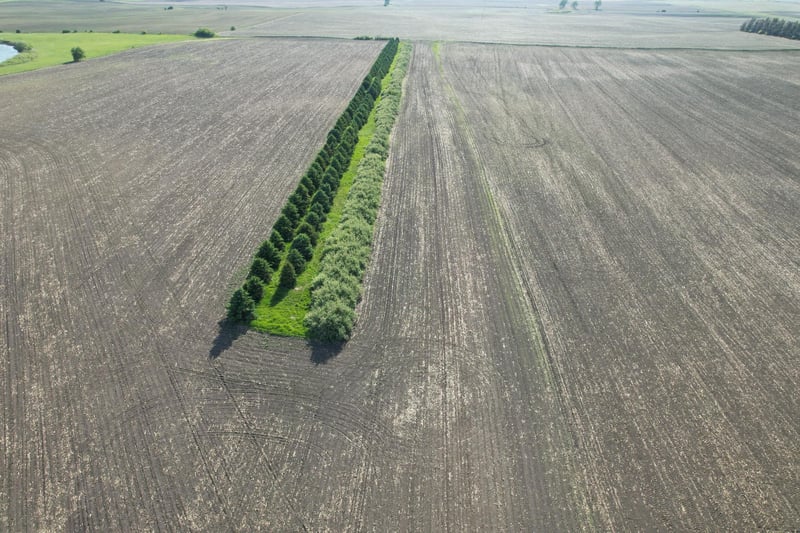 TBD Main St, Hadley, MN 56151