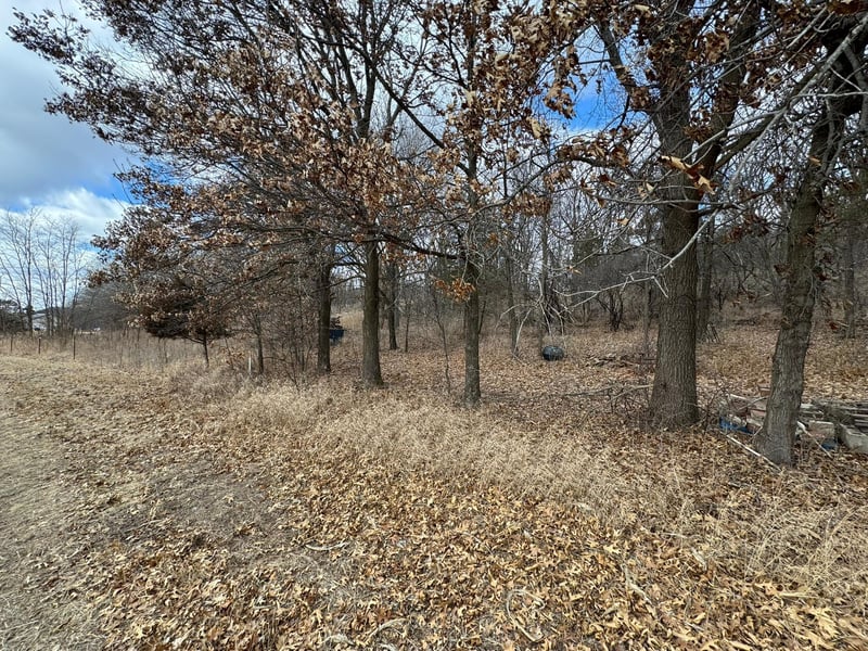 WXXXX Sand Ridge Rd, Pepin, WI 54759