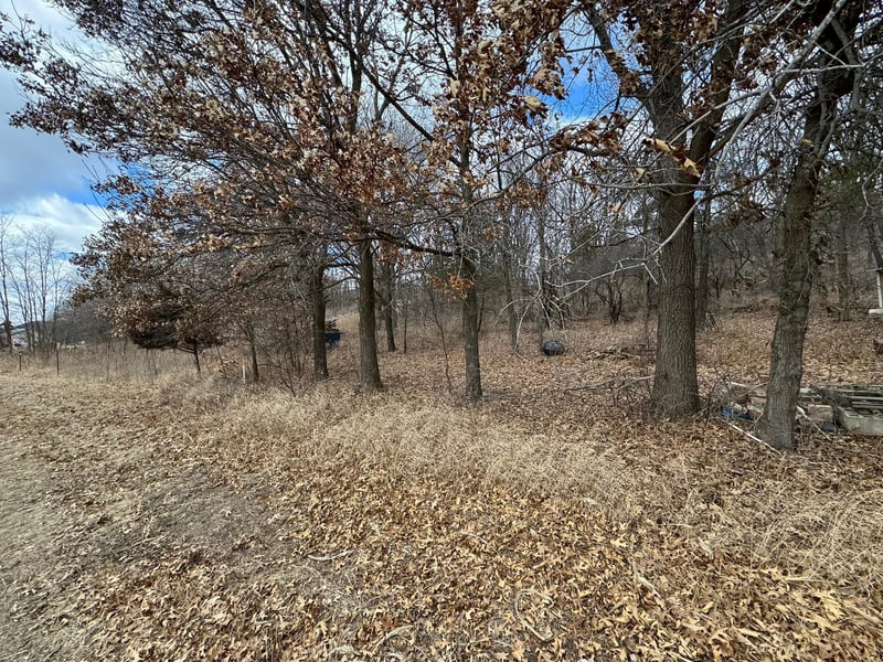 WXXXX Sand Ridge Rd, Pepin, WI 54759