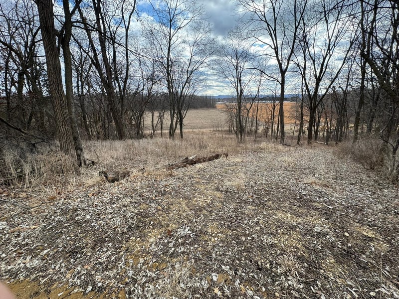 WXXXX Sand Ridge Rd, Pepin, WI 54759