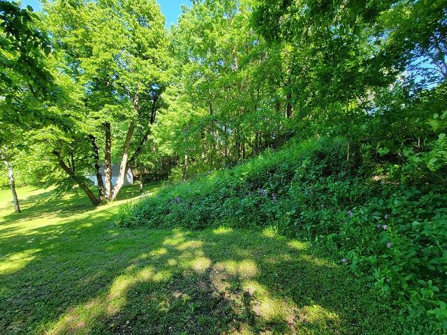 XXX W Church St, Belle Plaine, MN 56011
