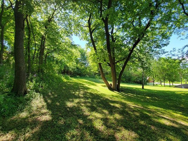XXX W Church St, Belle Plaine, MN 56011
