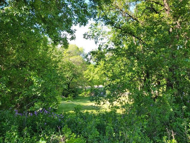 XXX W Church St, Belle Plaine, MN 56011