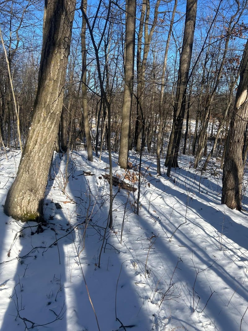 xxx Cardinal Trl, Randall, MN 56475