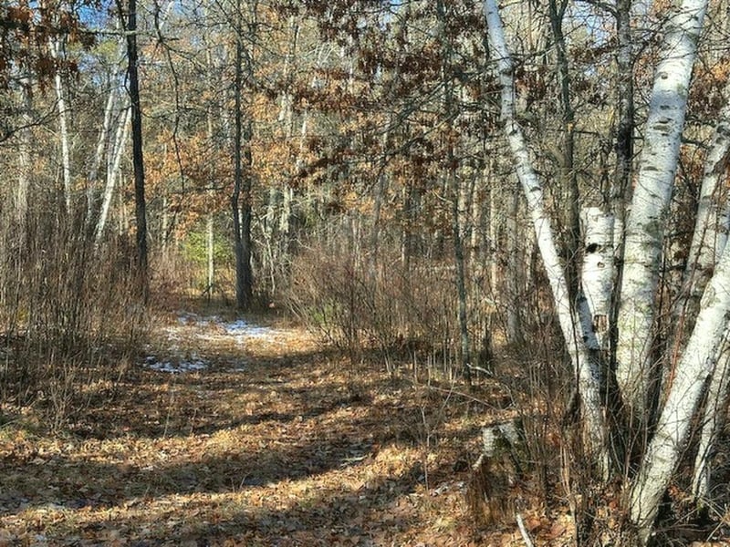 TBD Wildwood Ave, Nevis, MN 56467