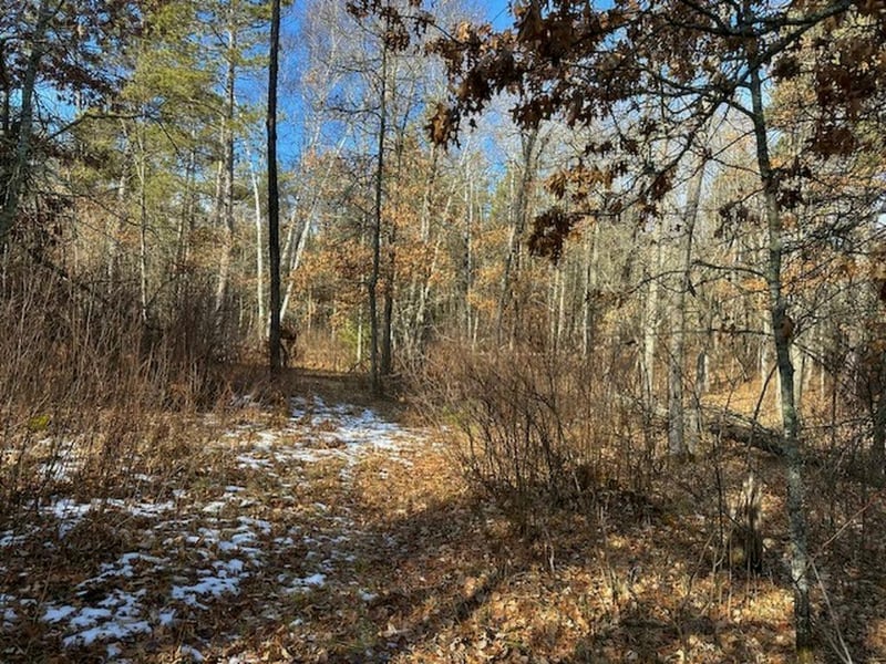 TBD Wildwood Ave, Nevis, MN 56467