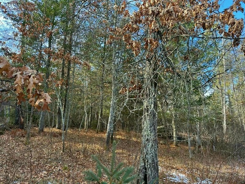 TBD Wildwood Ave, Nevis, MN 56467