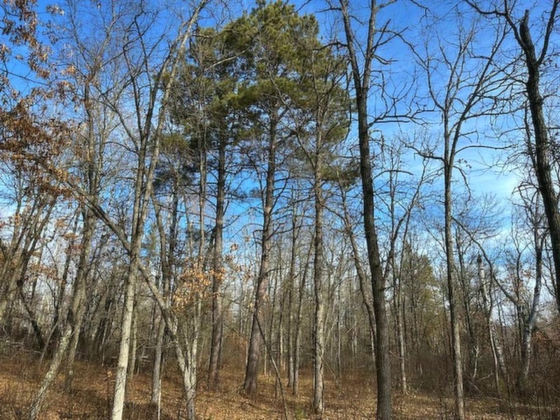 TBD Wildwood Ave, Nevis, MN 56467