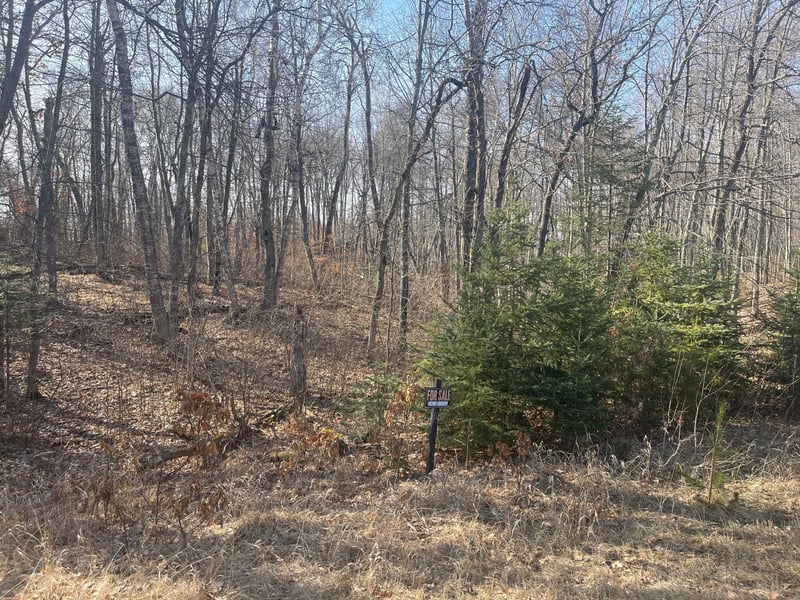Lots 129-131 Ski Chalet Dr, Breezy Point, MN 56472