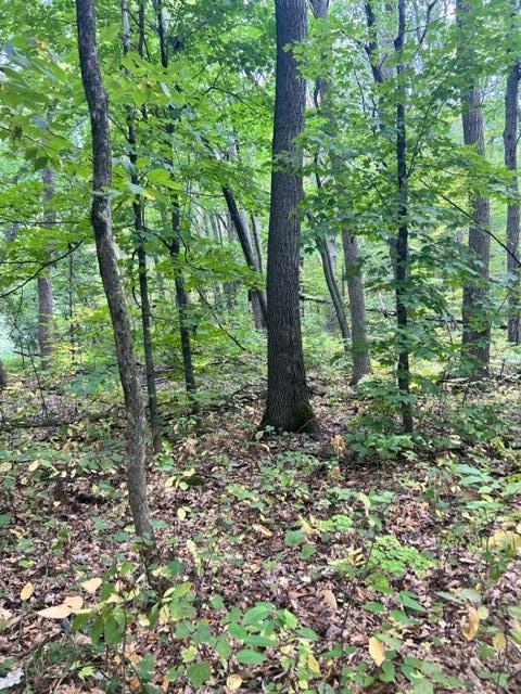 xxx Cedar Rd/marble Dr, Cushing, MN 56443