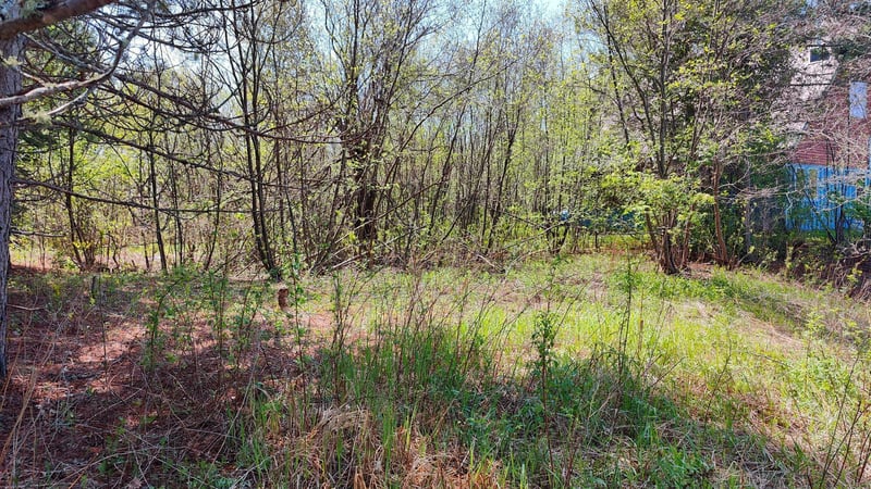 80086 Gruban Cir, Tower, MN 55790
