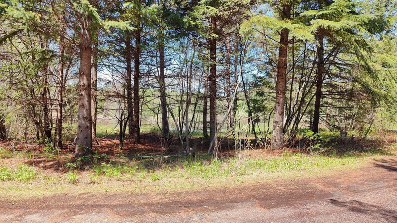 80086 Gruban Cir, Tower, MN 55790