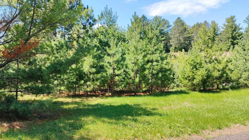 88034 Sweet Fern Loop, Tower, MN 55790