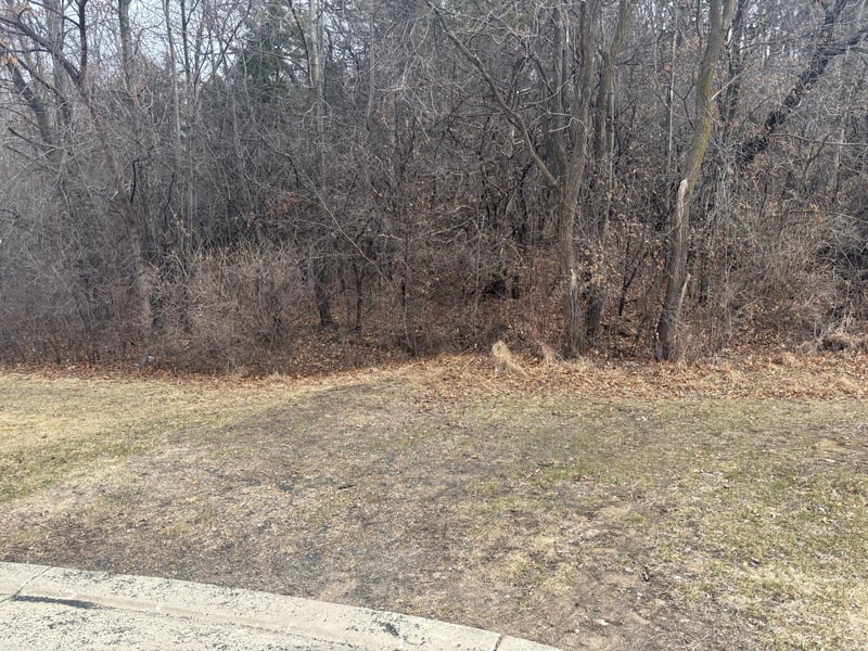 413 Northern Hills Ct, Saint Charles, MN 55972