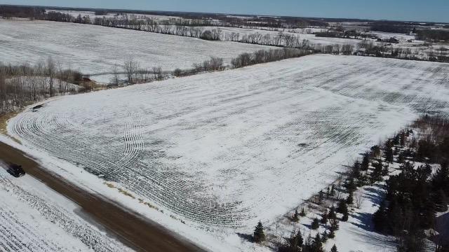 XX Homestead Rd NE, Nelson, MN 56355