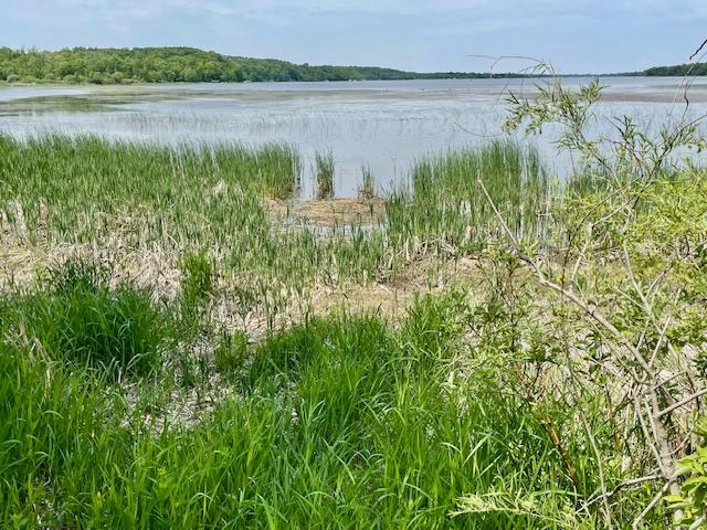 T134-R37 SEC.30 HWY 67 Hwy 67, Henning, MN 56551