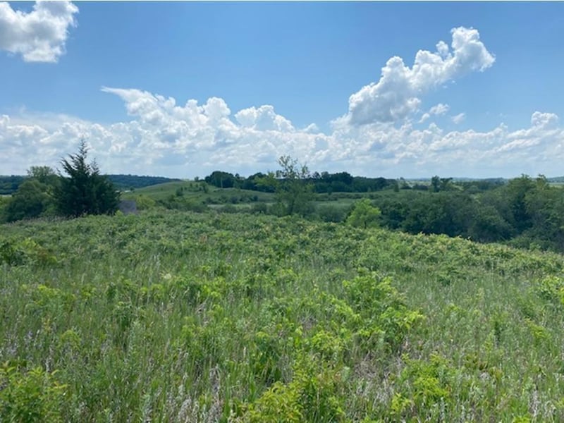 Lot C 113th St, Ashby, MN 56309