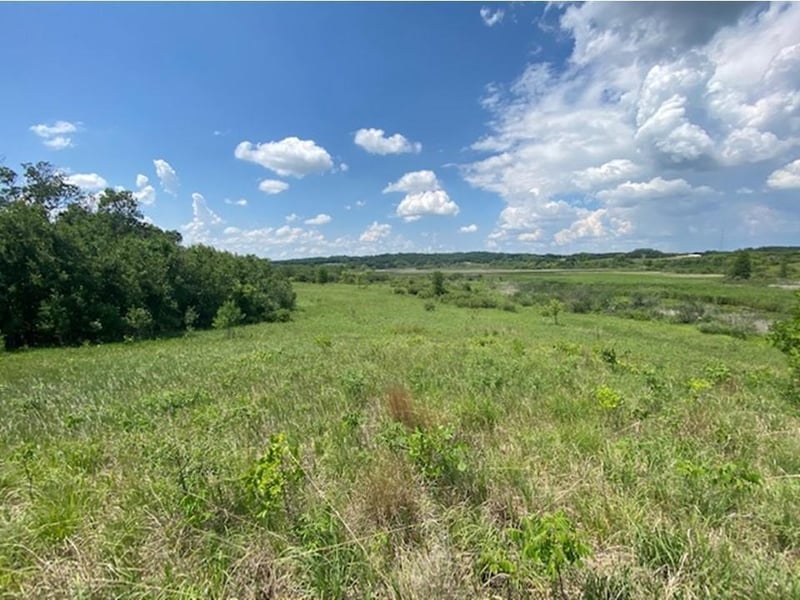 Lot C 113th St, Ashby, MN 56309
