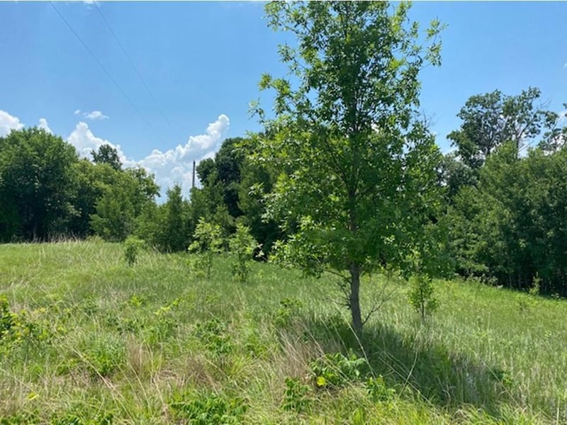Lot C 113th St, Ashby, MN 56309
