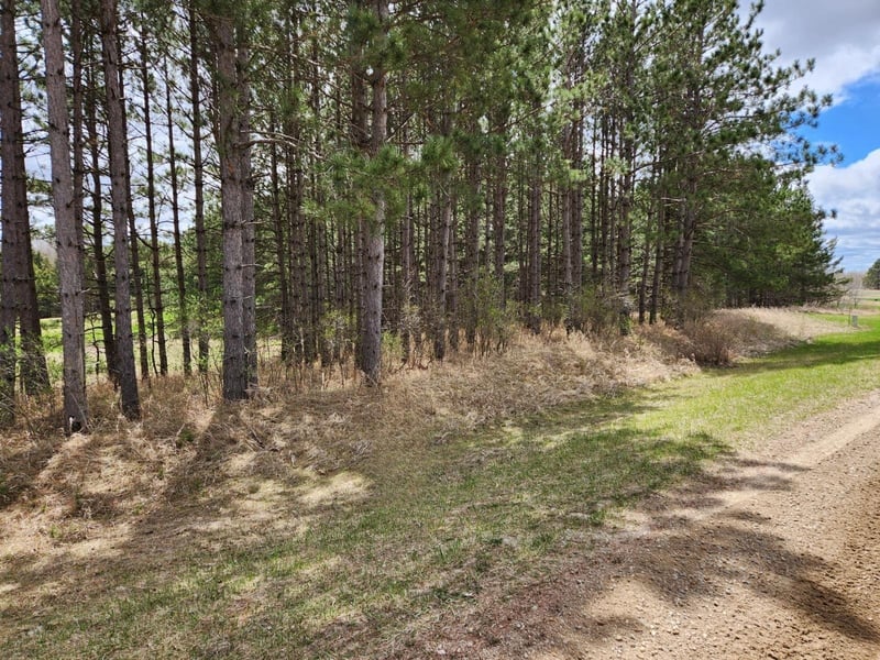 xxx Goldfinch Cir NE, Miltona, MN 56354