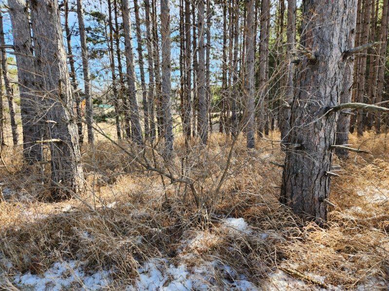 xxx Goldfinch Cir NE, Miltona, MN 56354