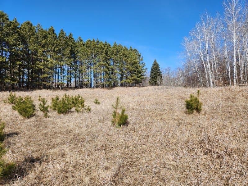 xxx Goldfinch Cir NE, Miltona, MN 56354