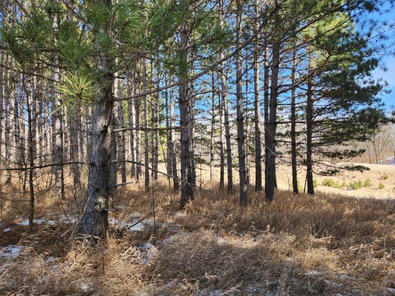 xxx Goldfinch Cir NE, Miltona, MN 56354