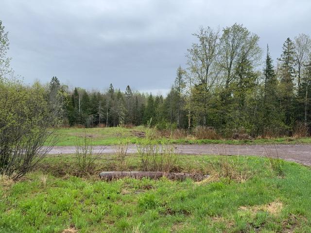 1335 Big Noise Pit Rd, Two Harbors, MN 55616