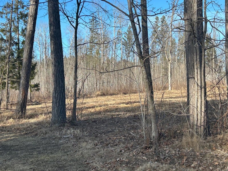 TBD Woodland Pk, Hill City, MN 55748