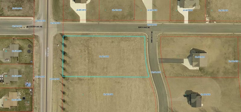 919 Amelia Ct NE, Montgomery, MN 56069