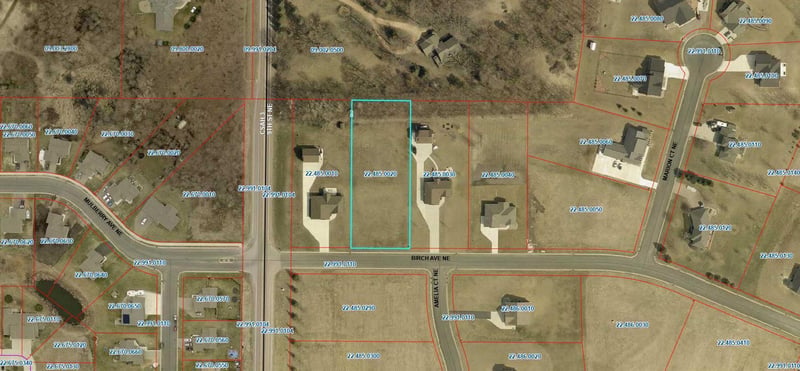 1005 Birch Ave NE, Montgomery, MN 56069