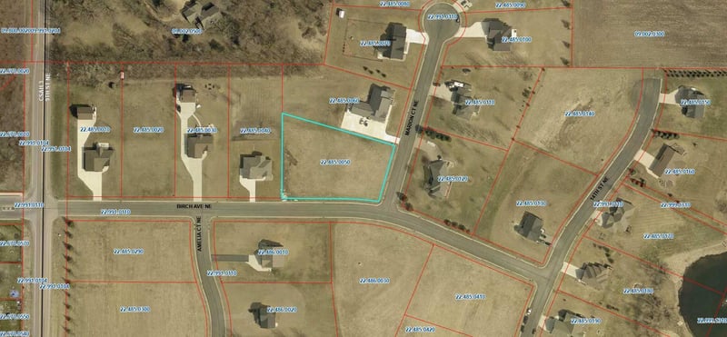 1017 Birch Ave NE, Montgomery, MN 56069