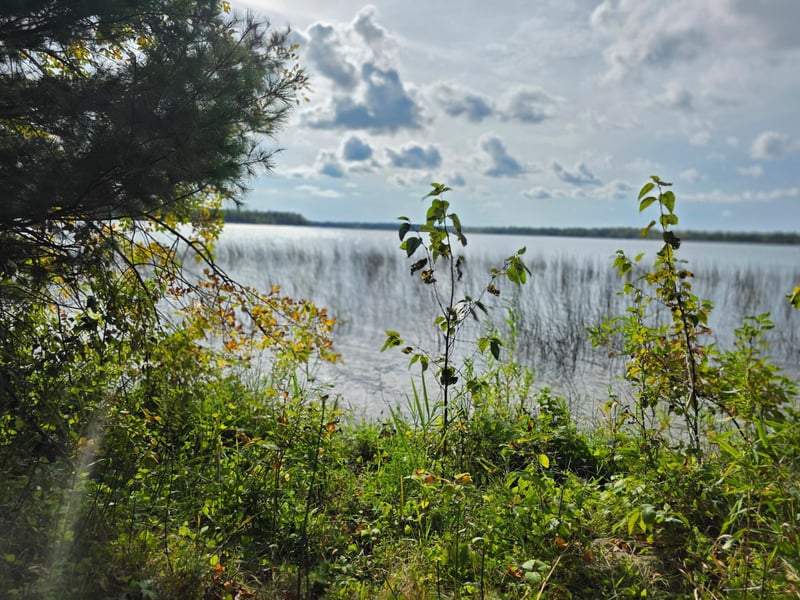 TBD Andrusia Rd SE, Cass Lake, MN 56633