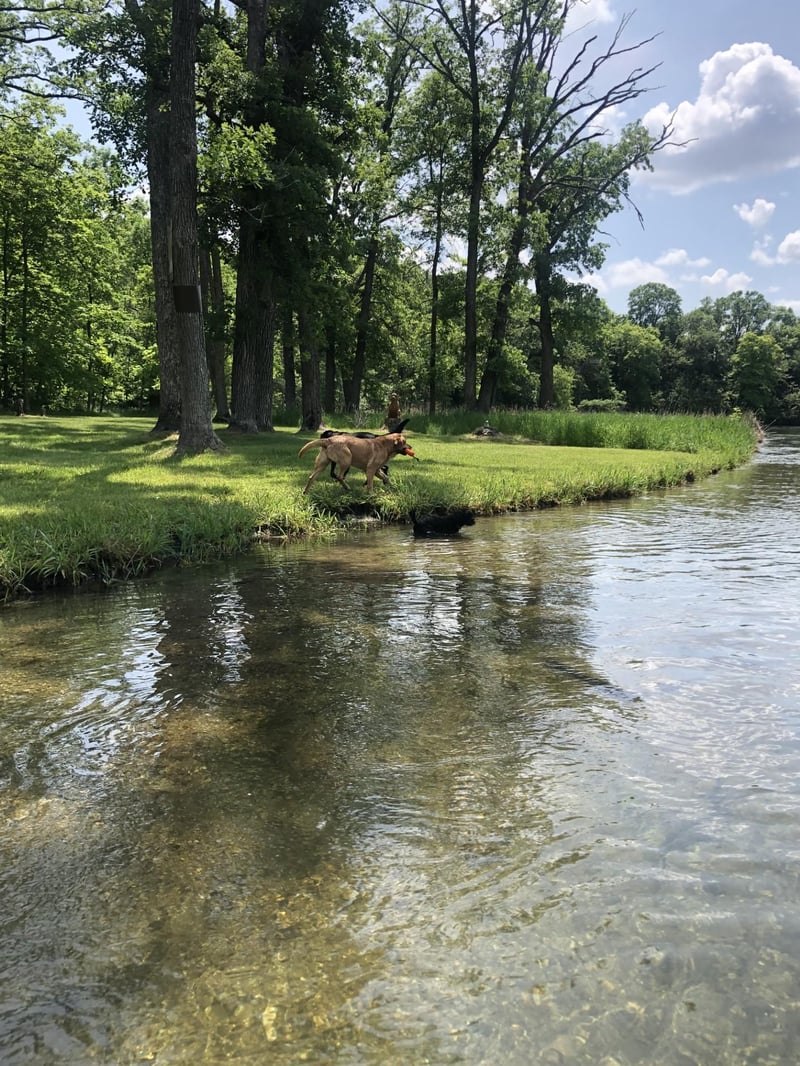 30169 River Pointe Trl, Underwood, MN 56586