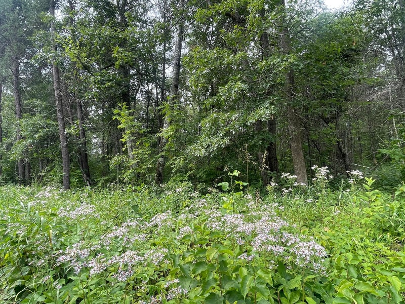 Lot 4 Patriot Ave, Pequot Lakes, MN 56472