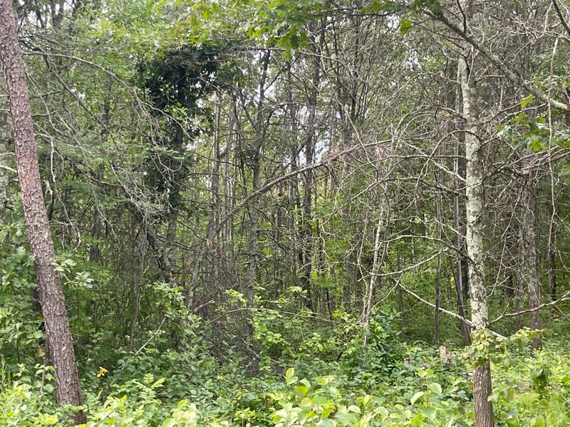 Lot 4 Patriot Ave, Pequot Lakes, MN 56472
