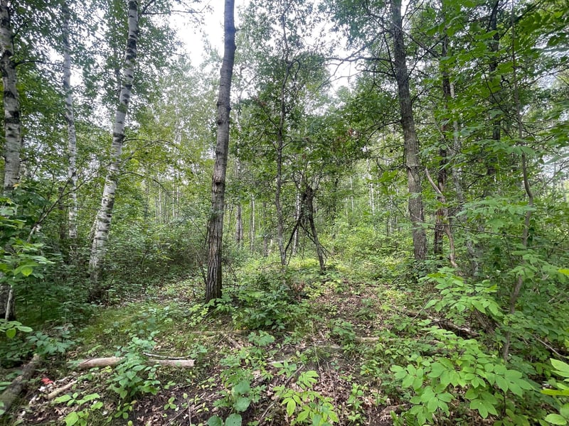 Lot 2 Patriot Ave, Pequot Lakes, MN 56472