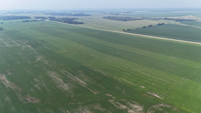 TBD County 61, Browerville, MN 56438